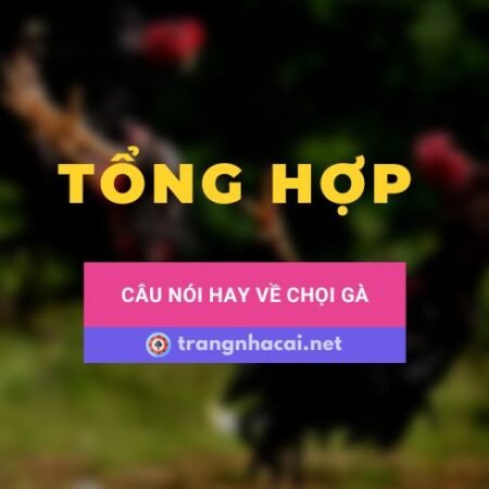 Một số câu nói hay về gà chọi
