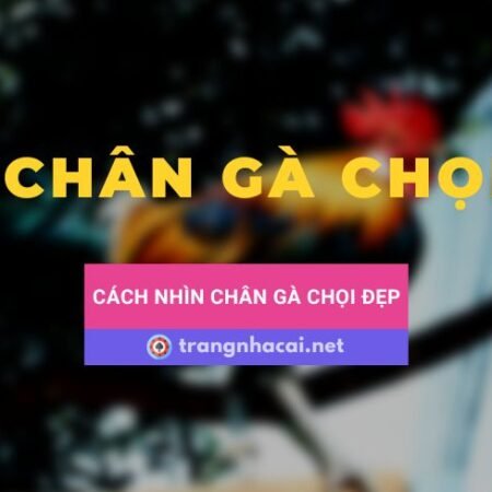 Chân gà chọi đẹp là thế nào? Cách nhìn chân gà chọi đẹp