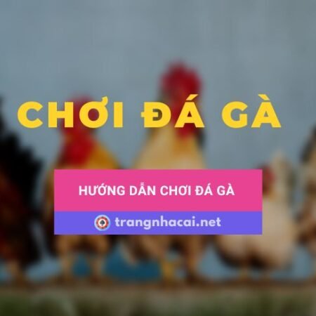 Chia sẻ cách chơi đá gà cho người mới