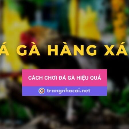 Cách chơi đá gà hàng xáo hiệu quả