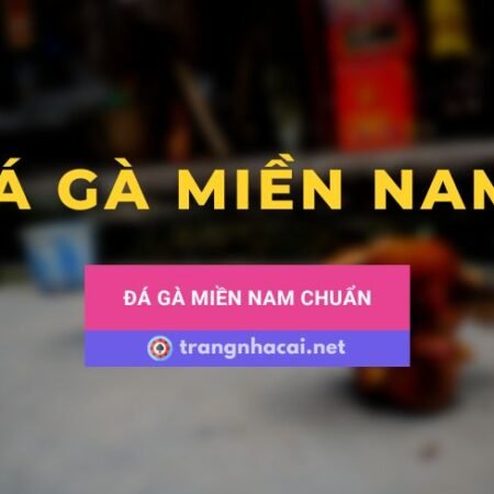 Luật chơi đá gà Miền Nam và thuật ngữ trong đá gà