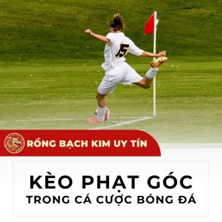 Kèo phạt góc là gì? Các loại kèo phạt góc trong bóng đá