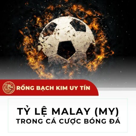Tỷ lệ cược Malay (viết tắt MY) hay tỷ lệ kèo Malaysia là gì?