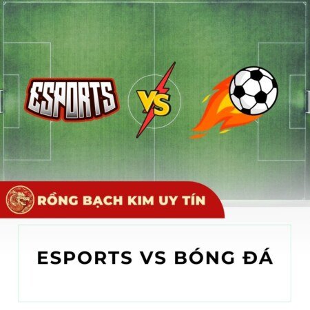 So sánh về 2 loại hình giải trí cá cược Esports và Bóng Đá