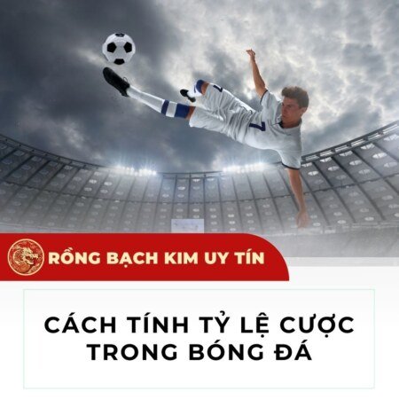 Tỷ lệ cá cược – phân tích và cách tính chính xác nhất