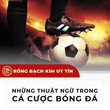 Thuật ngữ chuyên nghành cá cược bóng đá cho mọi người chơi