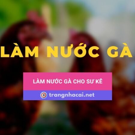 Cách làm nước gà cho các sư kê đúng chuẩn