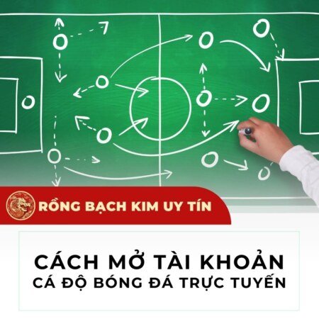Cách tạo tài khoản cá độ bóng đá tại tất cả các nhà cái