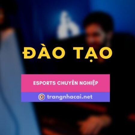 Khám phá bản đồ các lò đào tạo Esport tốt trong thời đại