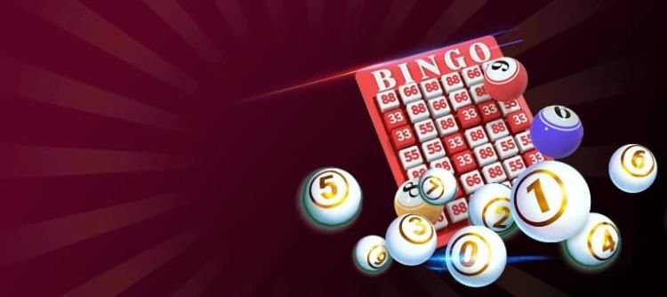 nuoi-lo-theo-khung-1