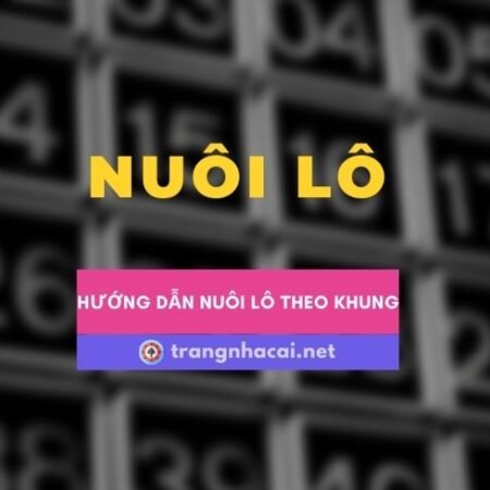 Hướng dẫn nuôi lô theo khung để có sự hiệu quả tốt nhất