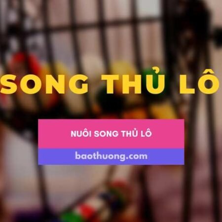 Song thủ lô là gì? 5 cách chơi song thủ lô dễ ăn nhất