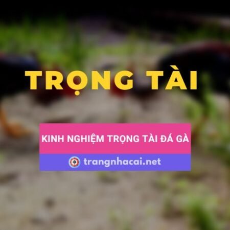 Một vài chia sẻ và kinh nghiệm về cách làm trọng tài đá gà