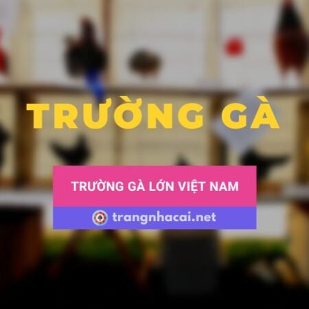 Tổng hợp 1 số trường gà lớn tại Việt Nam