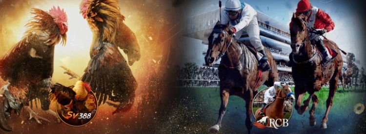 33bet-da-ga-dua-ngua