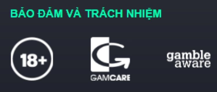 Cat368-danh-gia-trach-nhiem