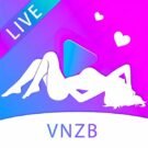 VNZB