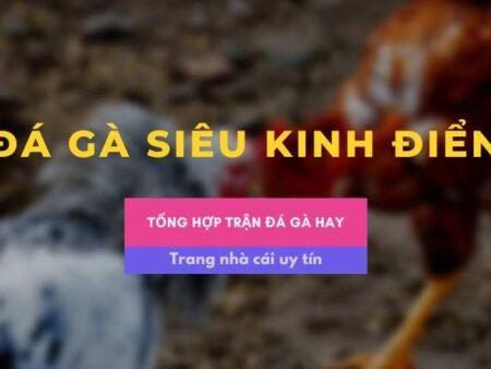 Trận đá gà 24 tỷ siêu kinh điển có thể bạn chưa biết