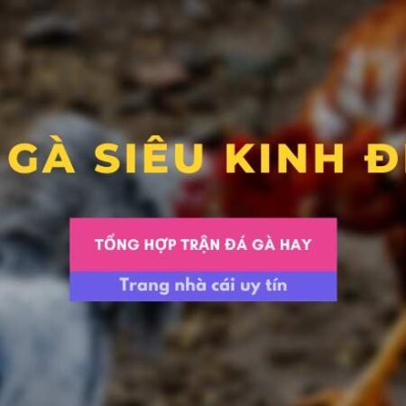 Trận đá gà 24 tỷ siêu kinh điển có thể bạn chưa biết