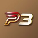 P3