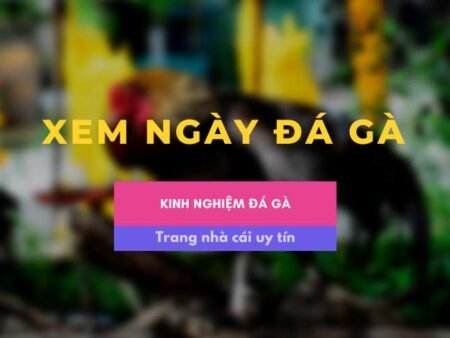 Xem ngày đá gà