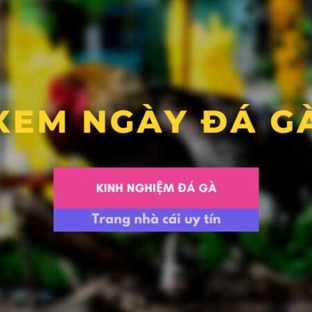 Xem ngày đá gà