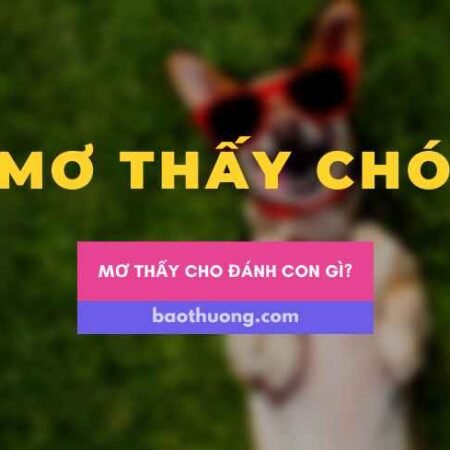 Mơ thấy chó đánh con gì – Giải mã giấc mơ thấy chó