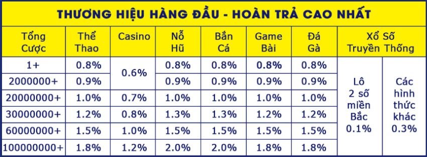 Newcastle vs Brighton