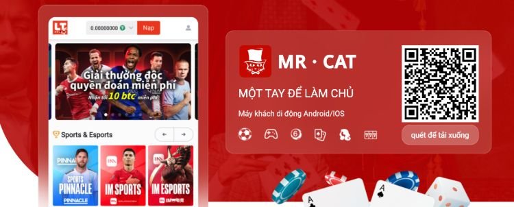 Mr. Cat-app-nhà cái tặng tiền uy tín