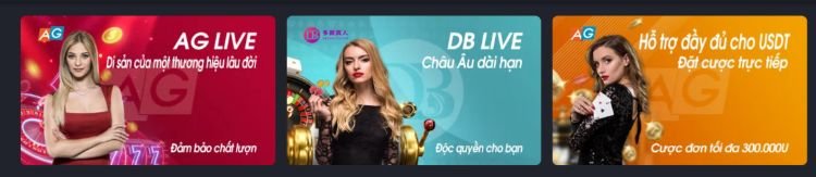 Mr. Cat-casino-nhà cái tặng tiền uy tín-min