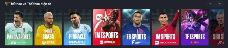 Mr. Cat-the-thao-nhà cái tặng tiền uy tín-min